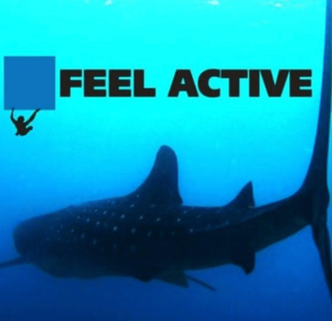 Our Booking Partners 4